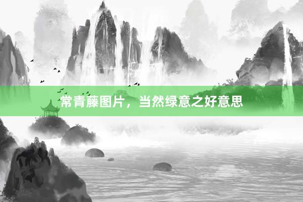 常青藤图片，当然绿意之好意思
