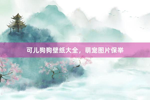 可儿狗狗壁纸大全,萌宠图片保举